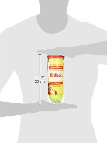 WILSON Championship Tennis Balls