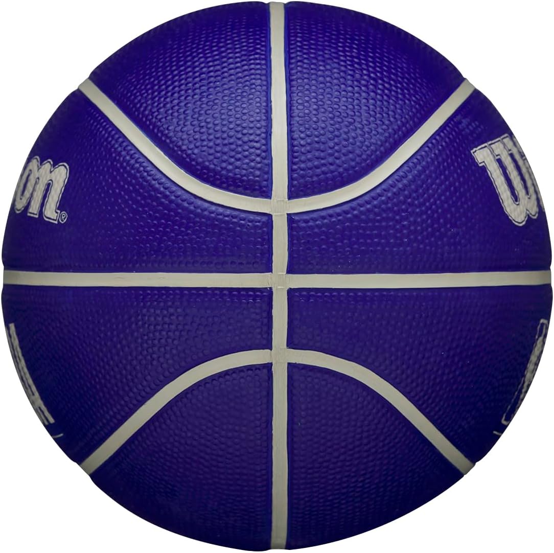 WILSON NBA DRV Outdoor Basketballs - Size 3, Size 5, Size 6 and Size 7