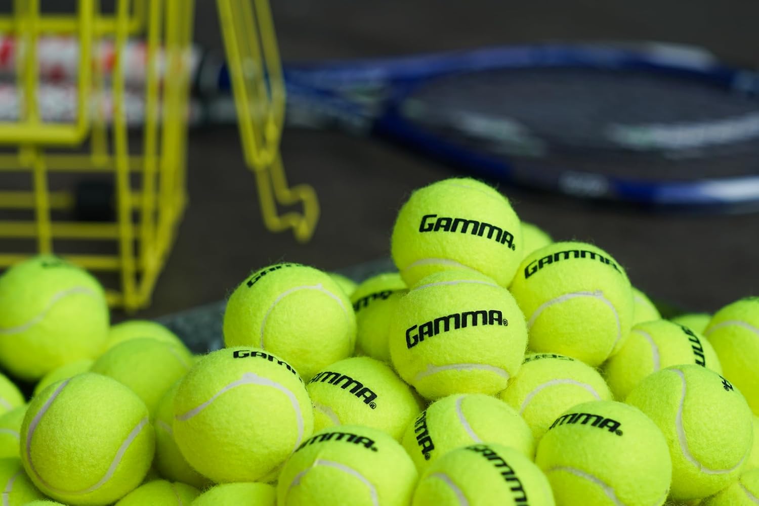 GAMMA Sports Pressureless Tennis Balls Box - Ideal for Practice, Teaching, and Training with High-Visbility Felt - Indoor and Outdoor Court Play - 48 and 75 Pack Sizes