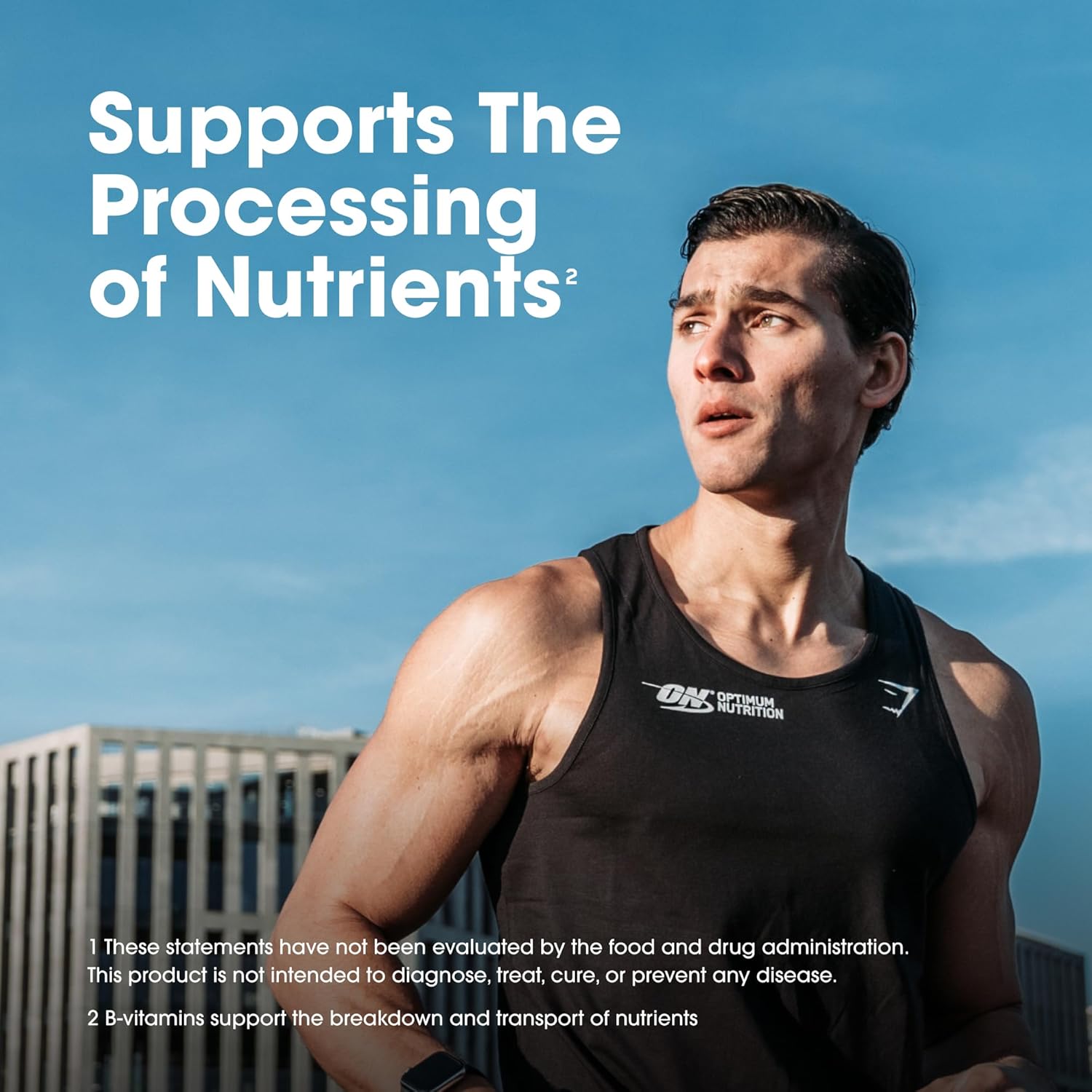 Optimum Nutrition Opti-Men Daily Multivitamin for Men, Immune Support Supplement with Amino Acids, 80 Day Supply, 240 Count, (Packaging May Vary)