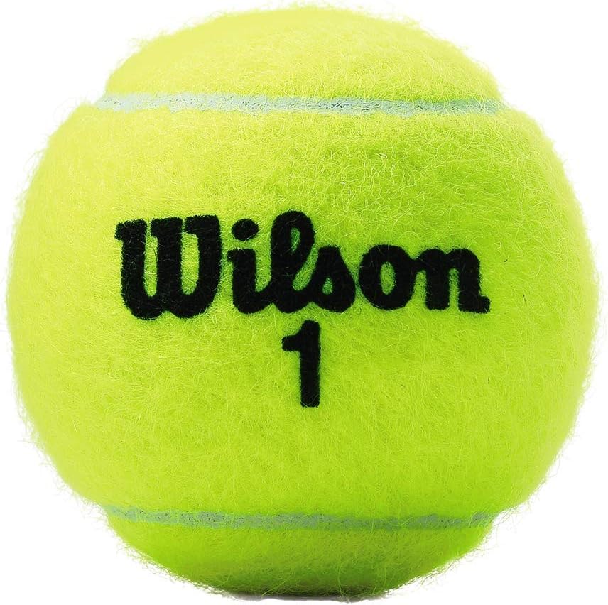 WILSON Championship Tennis Balls