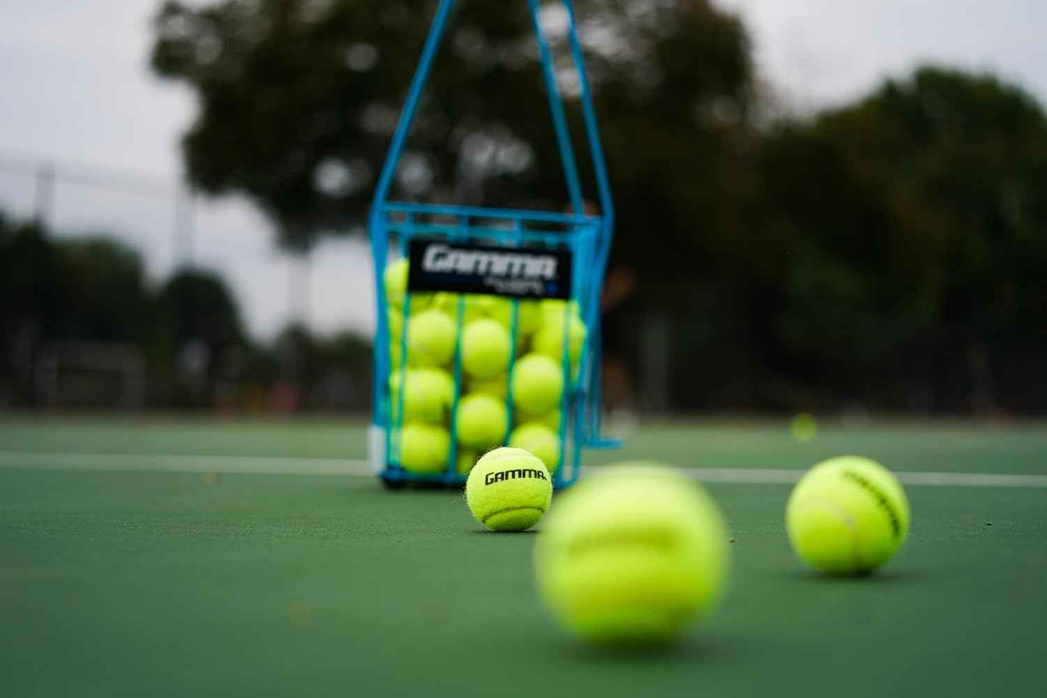 GAMMA Sports Pressureless Tennis Balls Box - Ideal for Practice, Teaching, and Training with High-Visbility Felt - Indoor and Outdoor Court Play - 48 and 75 Pack Sizes