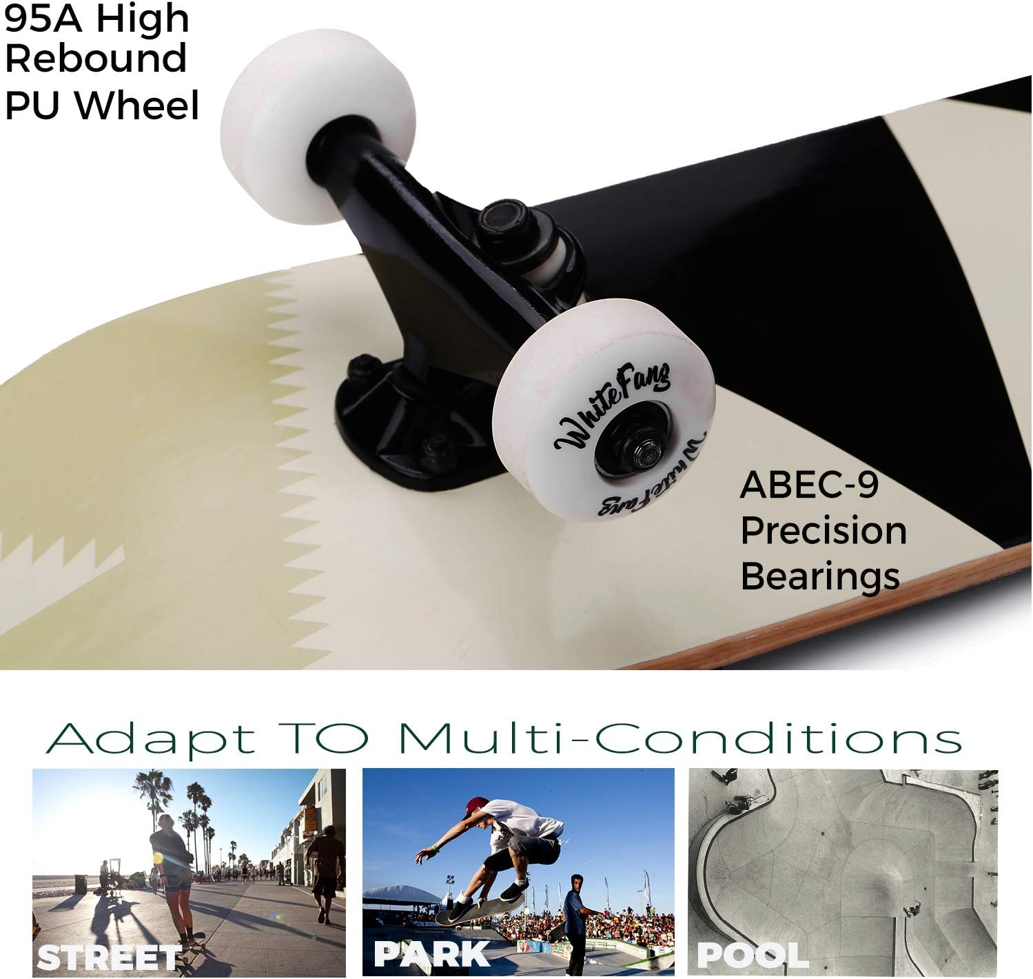 WhiteFang Skateboards for Beginners, Complete Skateboard 31 x 7.88, 7 Layer Canadian Maple Double Kick Concave Standard and Tricks Skateboards for Kids and Beginners