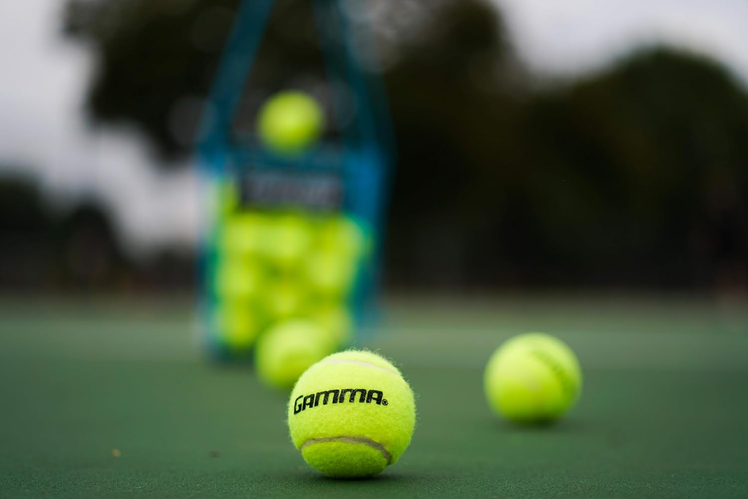 GAMMA Sports Pressureless Tennis Balls Box - Ideal for Practice, Teaching, and Training with High-Visbility Felt - Indoor and Outdoor Court Play - 48 and 75 Pack Sizes