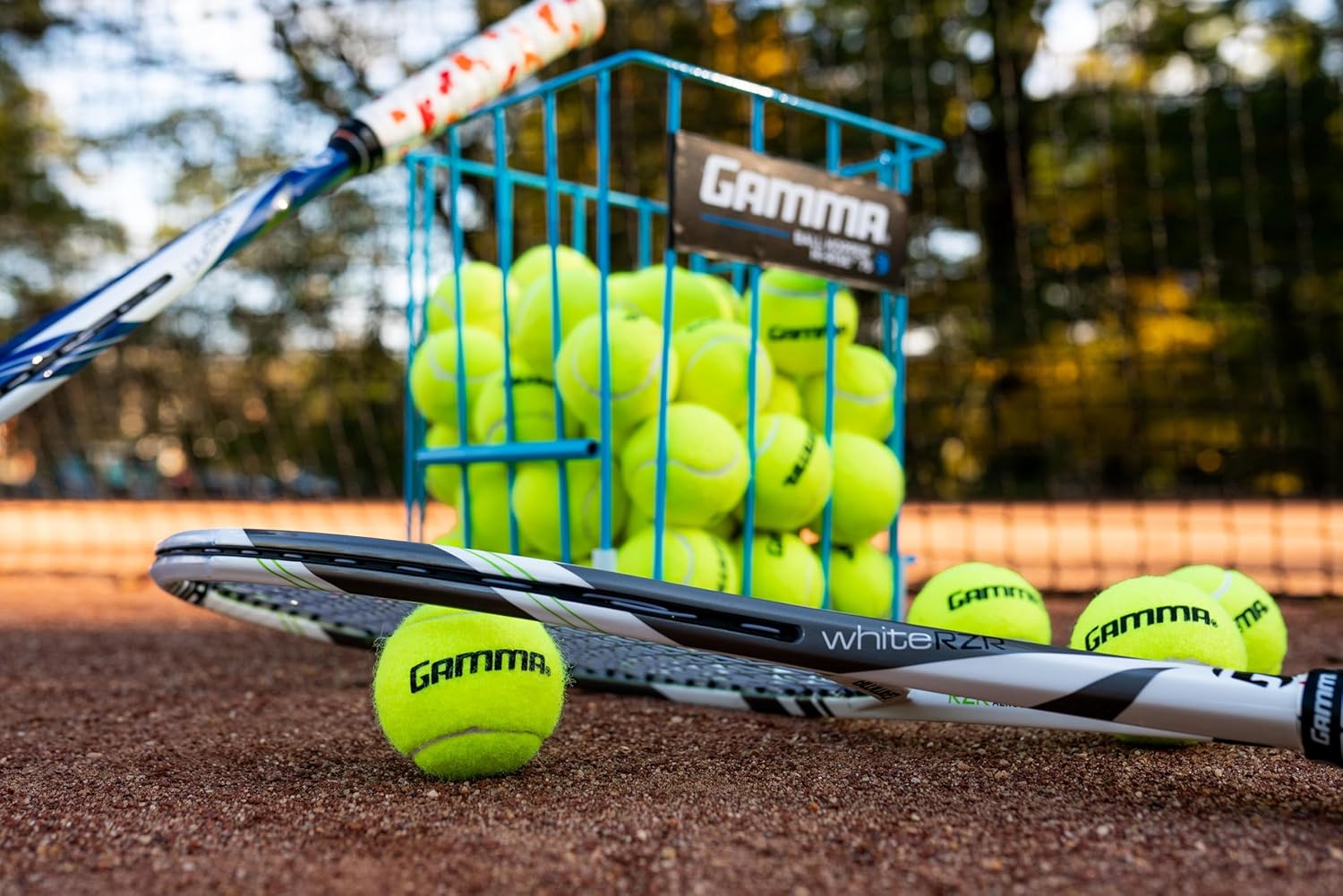 GAMMA Sports Pressureless Tennis Balls Box - Ideal for Practice, Teaching, and Training with High-Visbility Felt - Indoor and Outdoor Court Play - 48 and 75 Pack Sizes