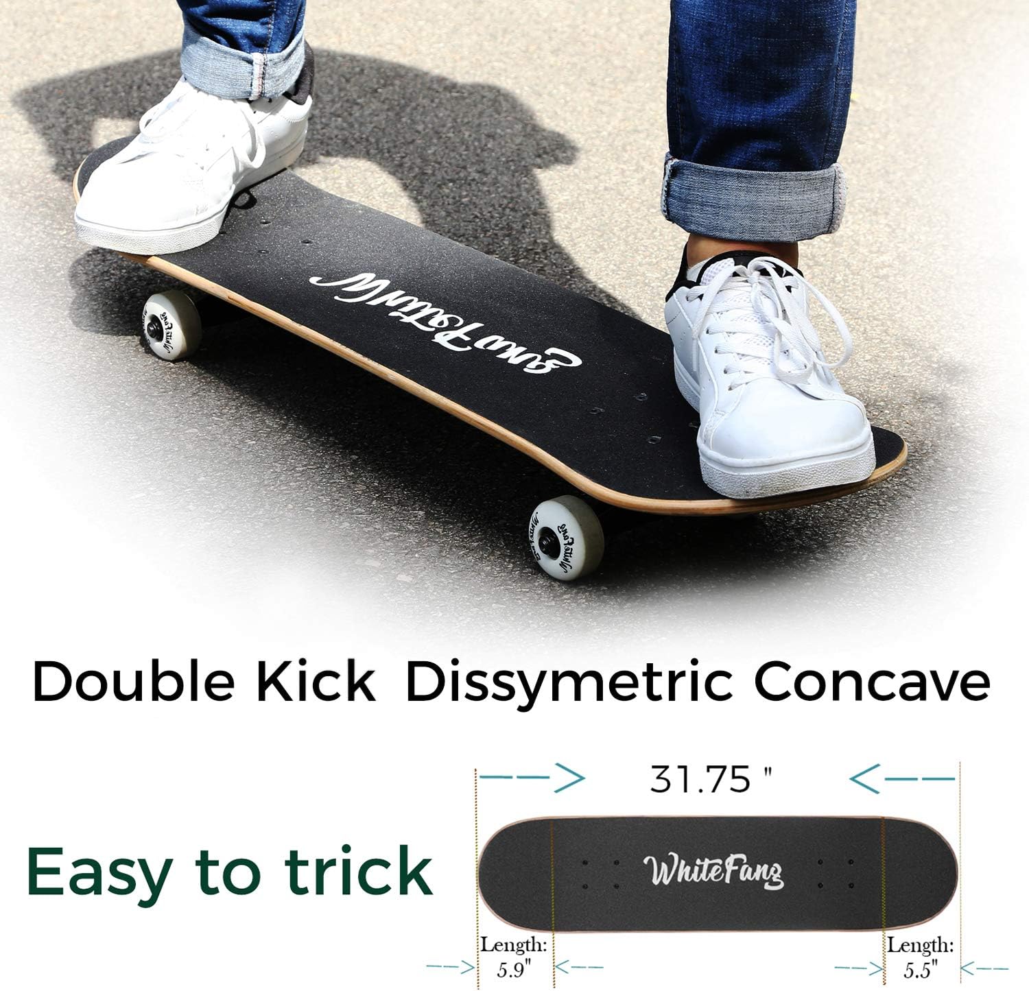 WhiteFang Skateboards for Beginners, Complete Skateboard 31 x 7.88, 7 Layer Canadian Maple Double Kick Concave Standard and Tricks Skateboards for Kids and Beginners