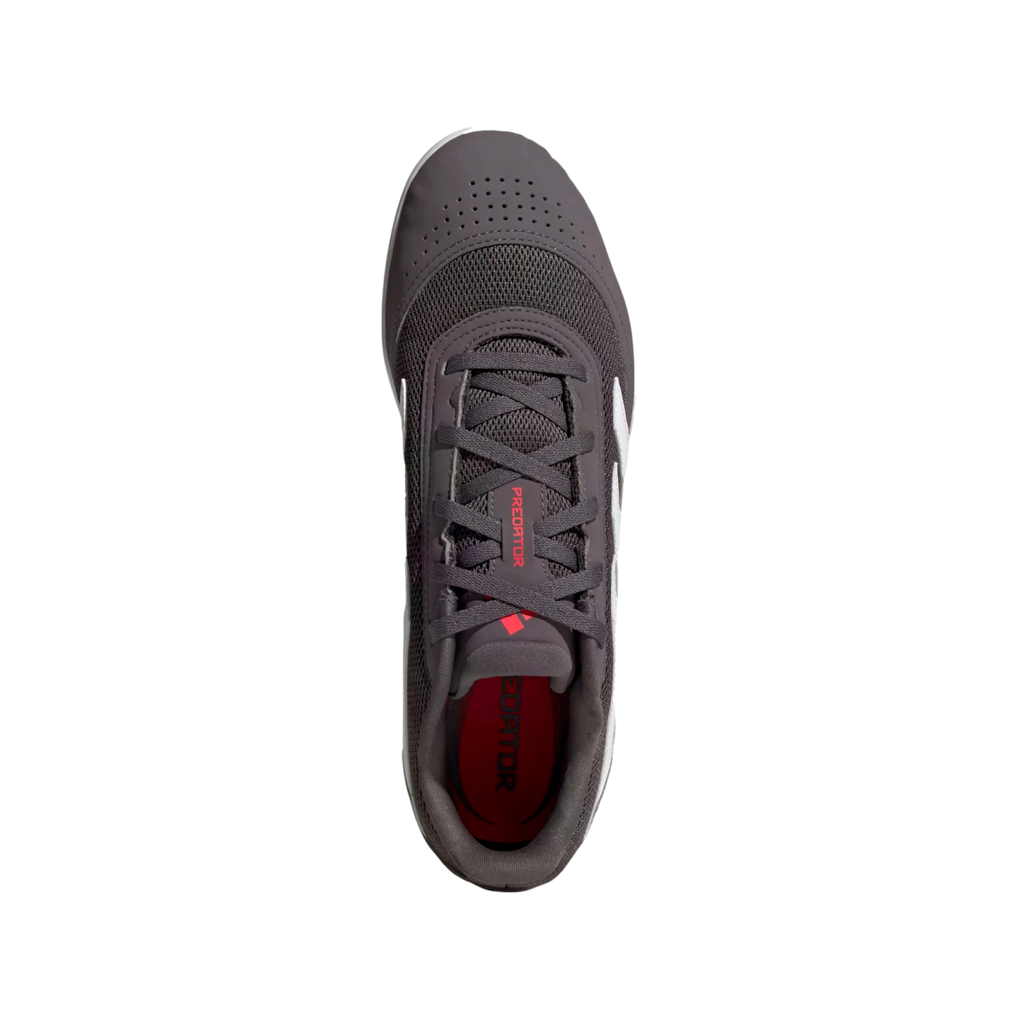 Adidas Predator Club Sala Indoor Shoes